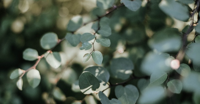 Ethical Violence From an Indigenous Lens